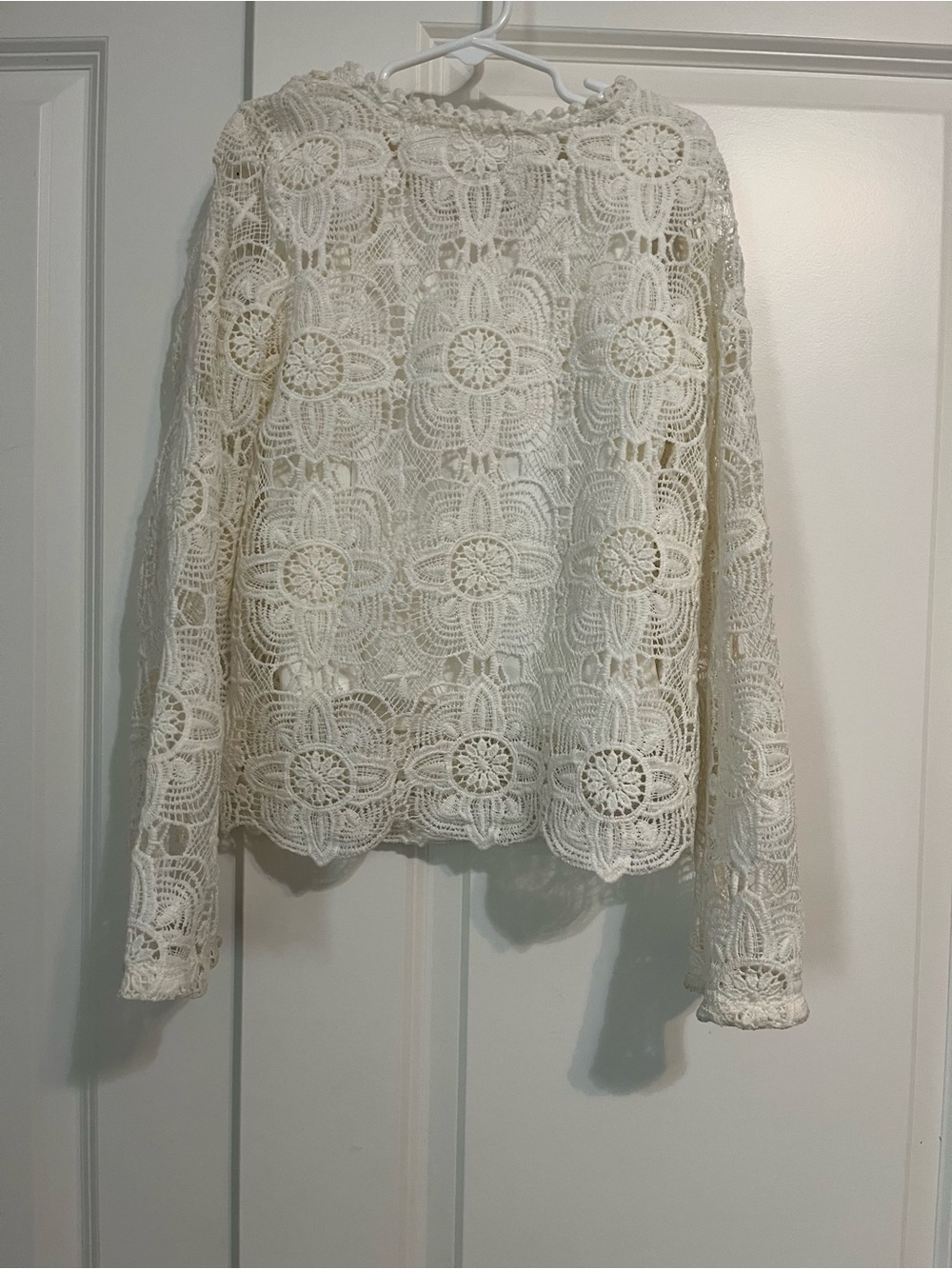 art class Cream Crochet Lace Long Sleeve Top